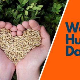 World-Hunger-Day